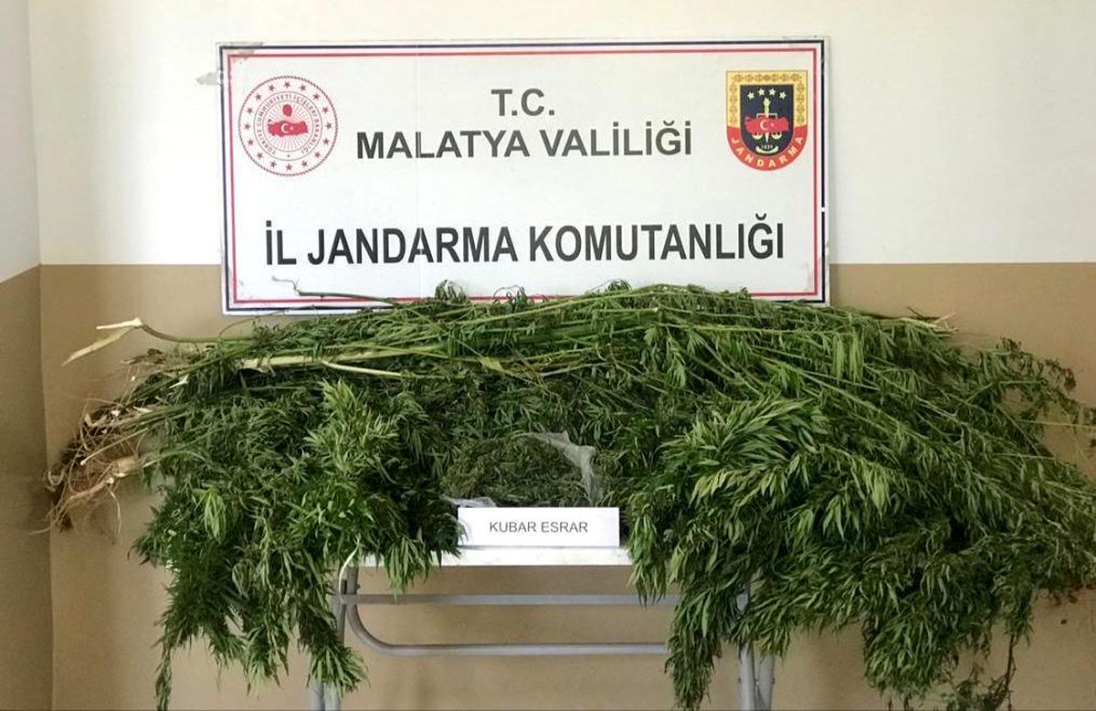 Malatya'da 1 kilo esrar ele geçirildi