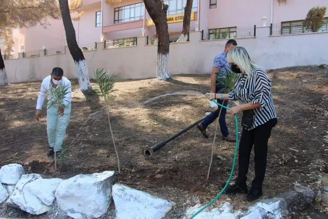 Marmaris'te yangından ziyan gören okulun bahçesine fidan dikildi