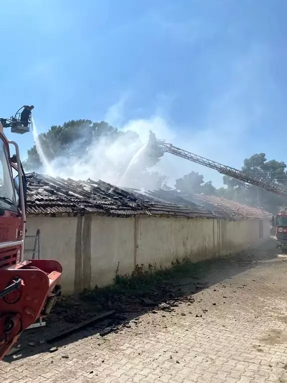 Samanlık yangını eve sıçramadan söndürüldü