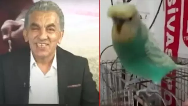 Televizyon tarihinde görülmemiş olay! Sivassporlu muhabbet kuşu spor programı sundu Televizyon tarihinde görülmemiş olay! Sivassporlu muhabbet kuşu spor programı sundu