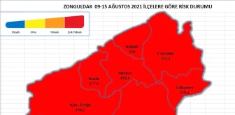 Zonguldak'ta vaka sayıları açıklandı