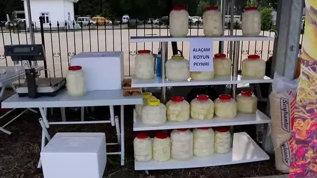 Alaçam'da Yağlı Pehlivan Güreşleri'nde başpehlivan Fatih Atlı oldu