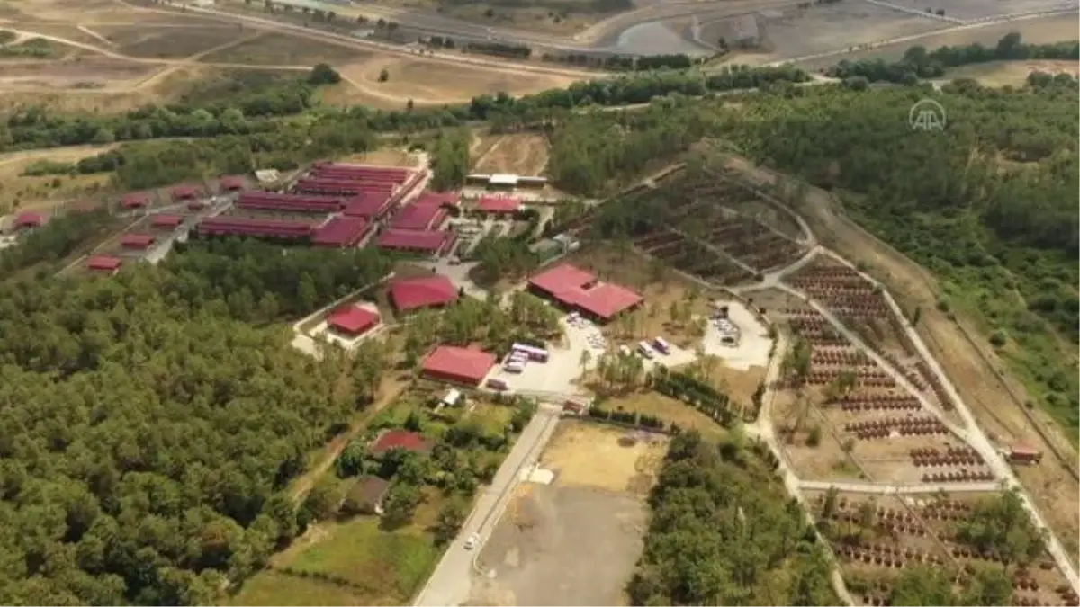 İBB'nin ölü hayvanları gömülmeden bekletmesine tepkiler sürüyor