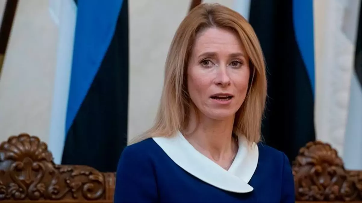 Estonya'nın 10 Afgan mülteci kabul edeceğini açıklaması dalga konusu oldu