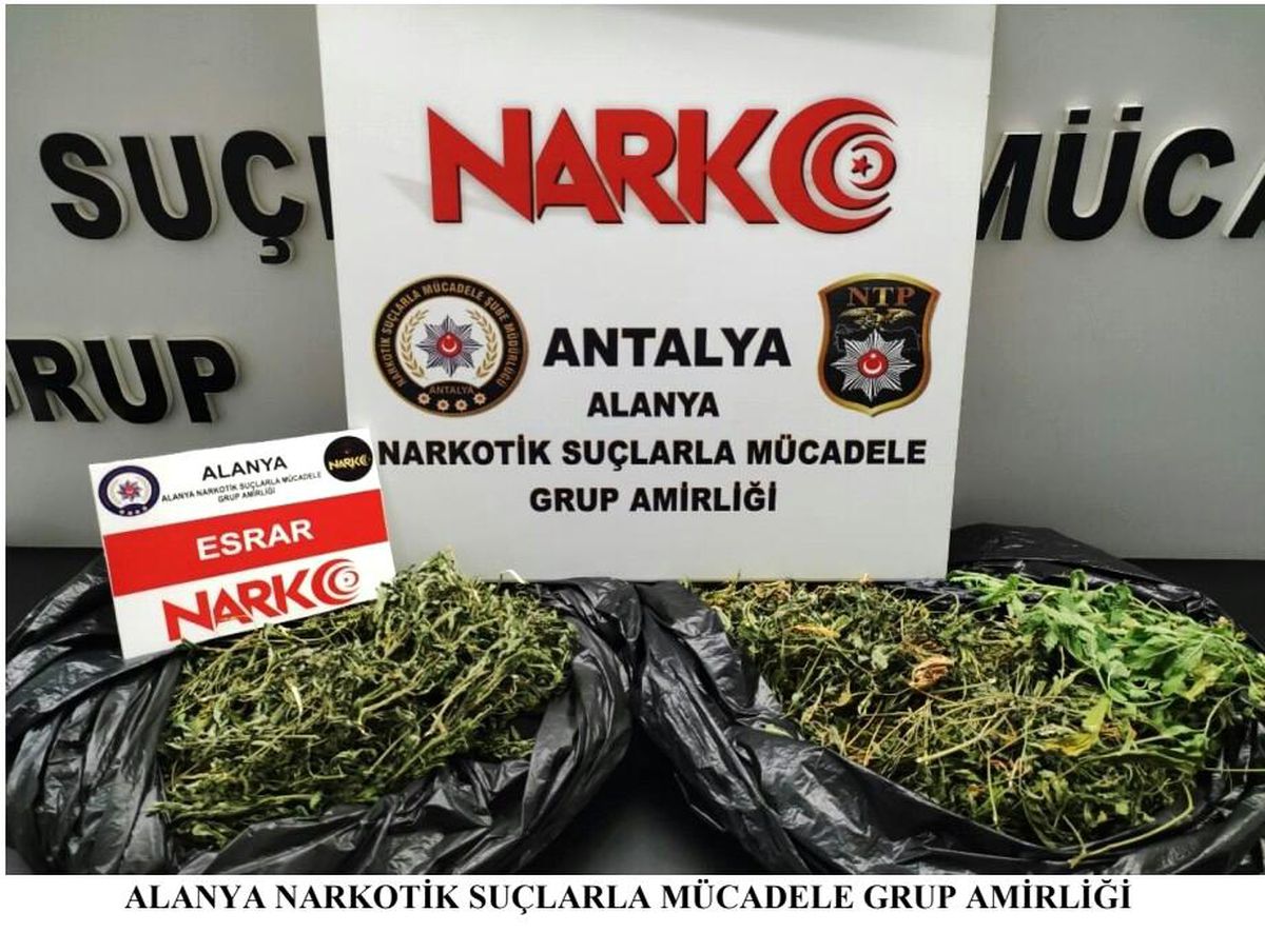 Alanya'da 600 gram esrar ele geçirildi