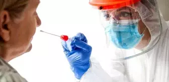 PCR testi nerelerde zorunlu tutulacak? Listede okul, uçak ve otobüs başta olmak üzere çok sayıda yer var