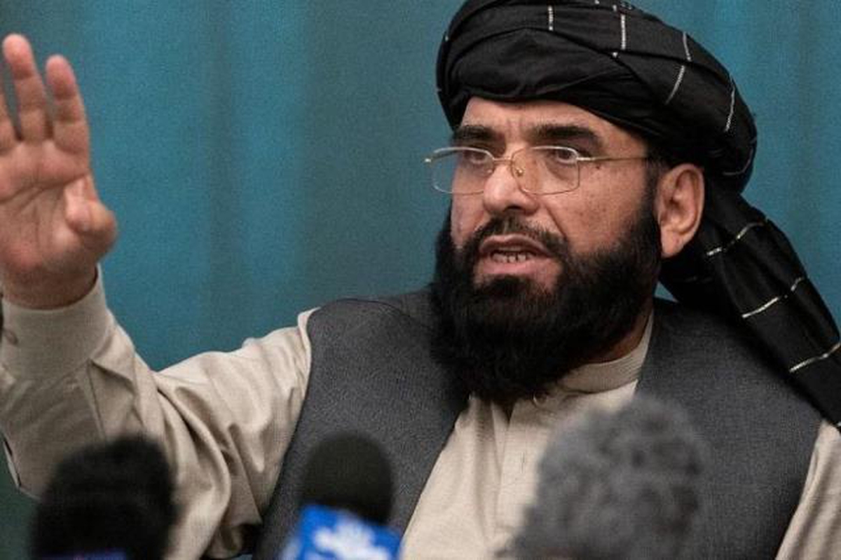 Taliban sözcüsü kimdir? Suheyl Şahin kimdir, kaç yaşında, nereli? Taliban sözcüsü Suheyl Şahin ne dedi, açıklaması ne? - Vimarsana News