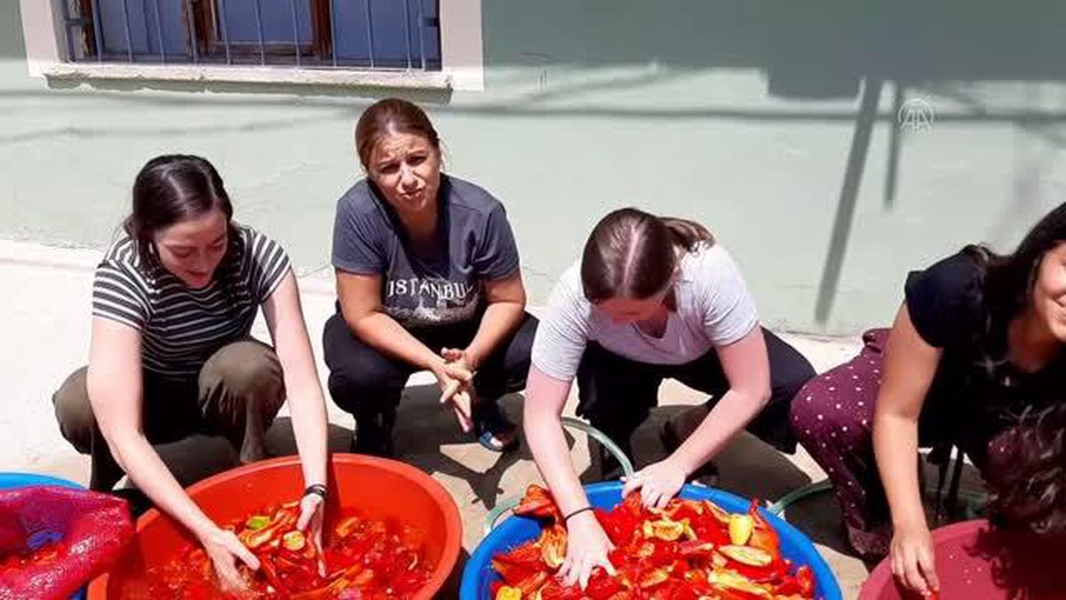 Yabancı turistler köy yaşamını tanımak için salça yapıp kilim dokudu