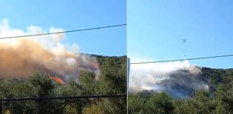 Bursa'da ikinci orman yangını 2 saatte kontrol altına alındı