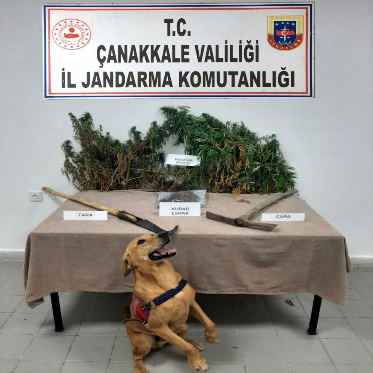 Çanakkale'de uyuşturucu operasyonu - Vimarsana News