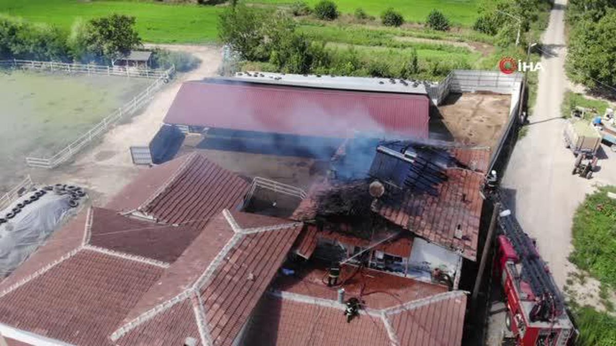 Çiftlikte çıkan yangın binalara sıçramadan söndürüldü