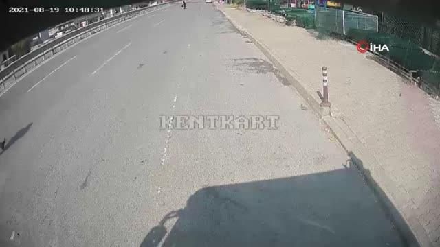 otobus soforu yola giren yavru kopegi ezilmek 2 14345437 o