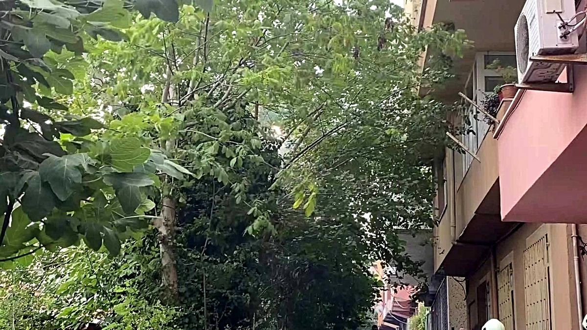 Sarıyer'de kopan elektrik kablosu alev aldı, olası faciadan dönüldü - Vimarsana News