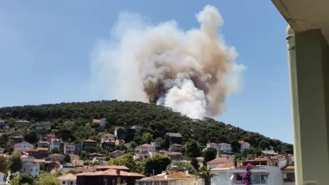 Son Dakika! Heybeliada'da yerleşim yerlerine yakın bir noktada yangın çıktı