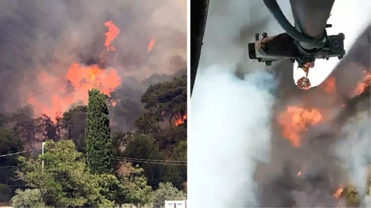 Son Dakika! Heybeliada'daki orman yangını kontrol altına alındı