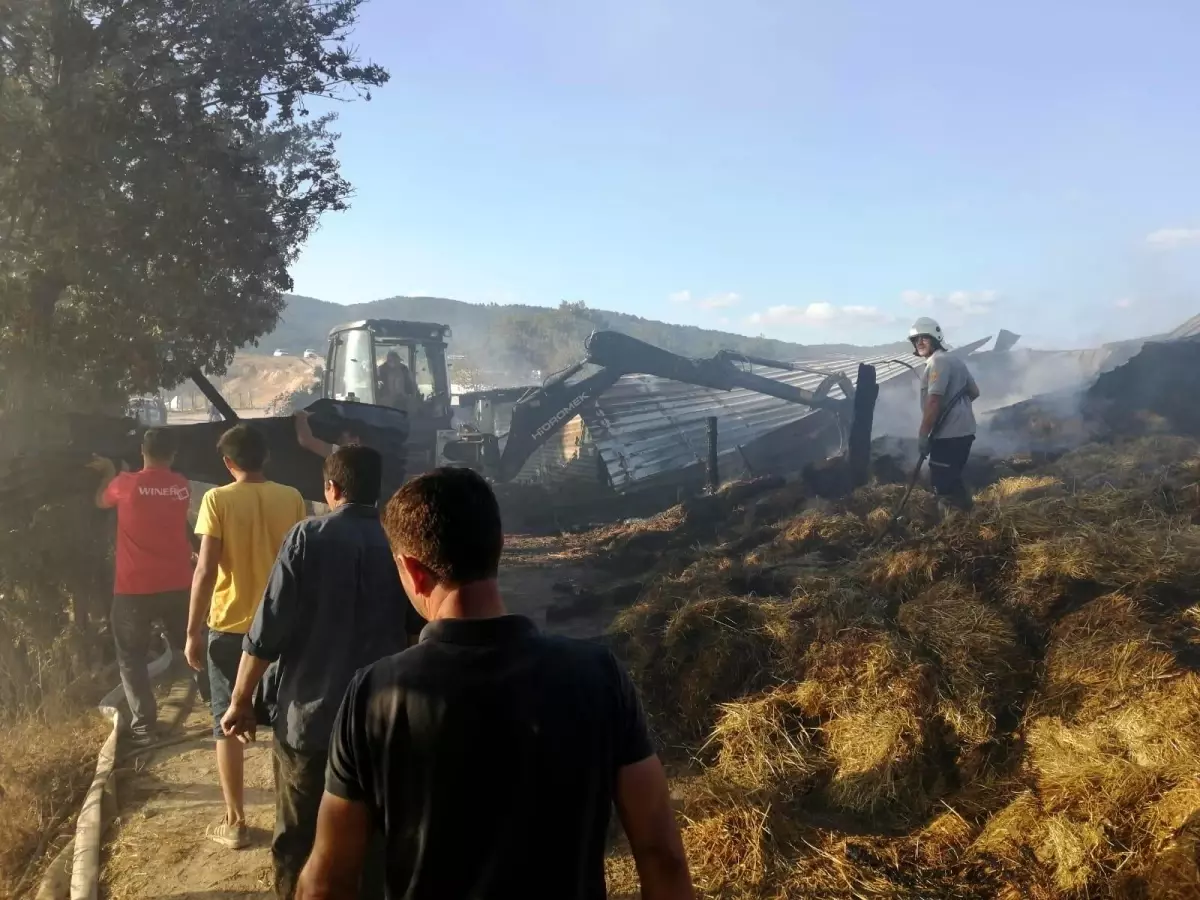 Son dakika haberleri... Yenice'de çıkan yangında ev ve ahır yandı, hayvanlar telef oldu
