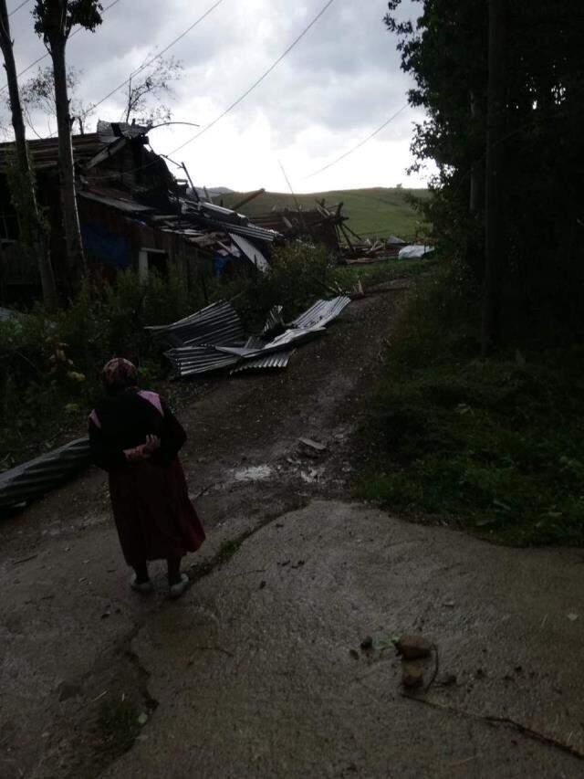 Artvin'de hortum evlerin ve ahırların çatısını uçurdu