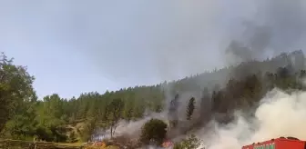 Çanakçı: Son Dakika | BALIKESİR - Dursunbey ilçesinde orman yangını kontrol altına alındı Çanakçı: Son Dakika | BALIKESİR - Dursunbey ilçesinde orman yangını kontrol altına alındı