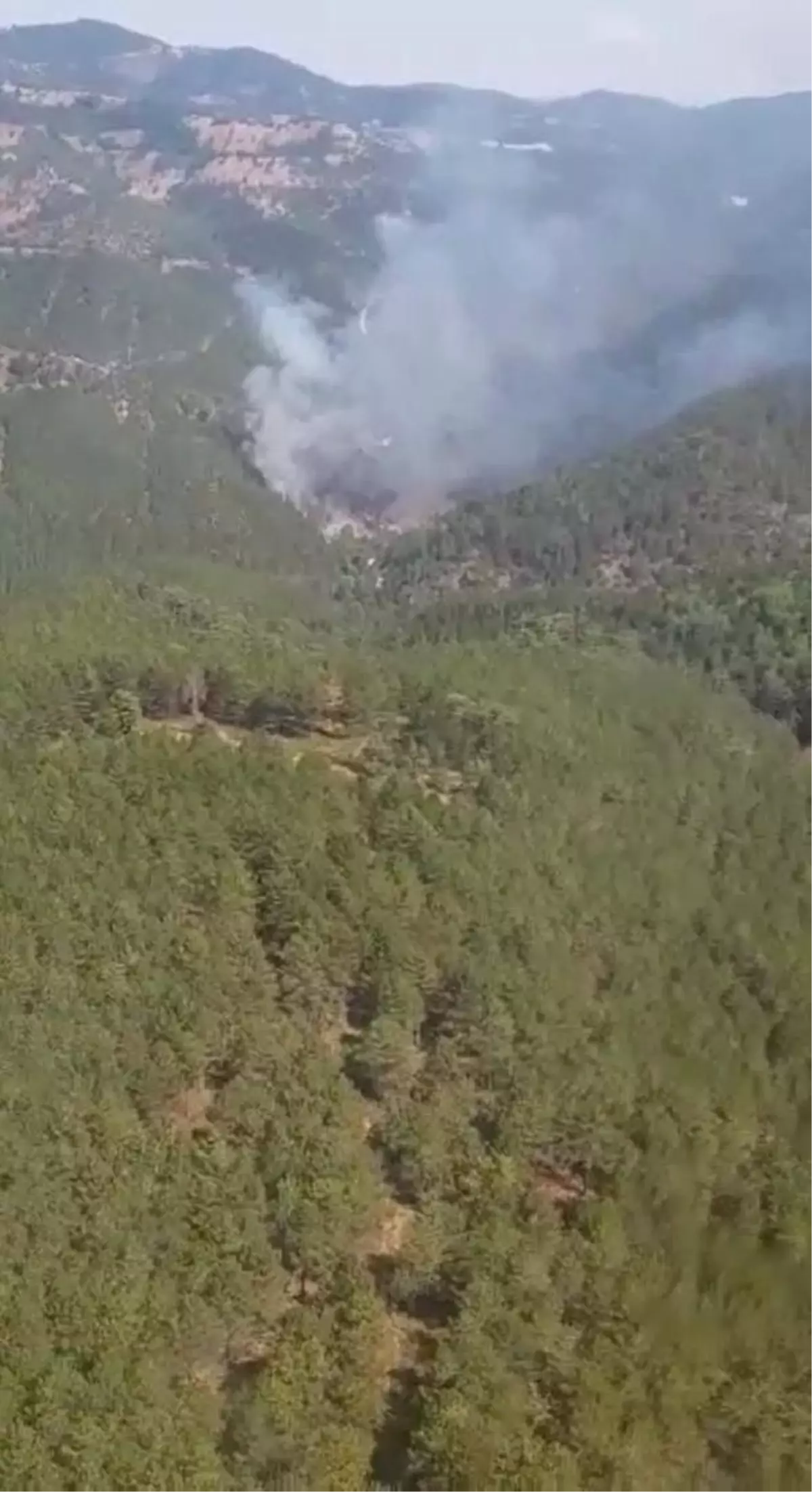 Son Dakika | Balıkesir'de orman yangını