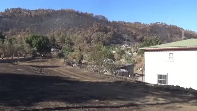 Son dakika haber: Yangının arıcılık sektörü ve bal üretimine etkilerine ilişkin çalışma yapılıyor