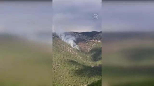 Çıkan orman yangınına havadan ve karadan müdahale ediliyor