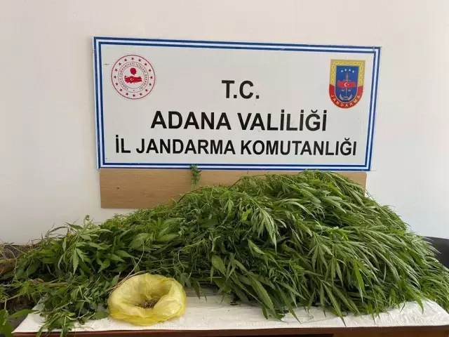 Son dakika! Adana'da uyuşturucu operasyonlarında 48 kuşkulu yakalandı