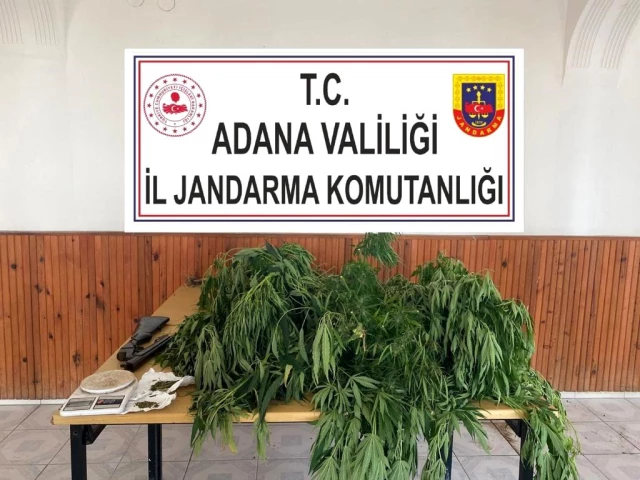 Adana'da uyuşturucu operasyonu: 48 gözaltı