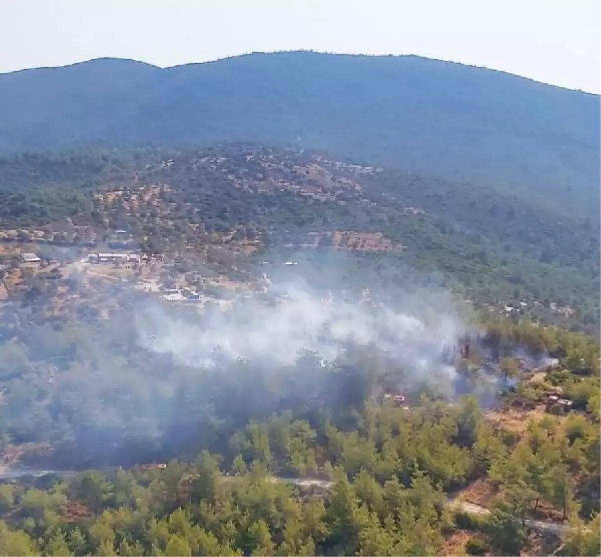 Son dakika haberleri: Bodrum'da orman yangını (2)