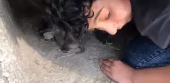 11 yaşındaki Bünyemin, sürünerek girdiği kayanın altındaki yavru köpekleri kurtardı