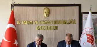Doğu Anadolu Bölgesi: Erzurum'da 'Damızlık Ana Arı Üretim' projesinin protokolü imzalandı Doğu Anadolu Bölgesi: Erzurum'da 'Damızlık Ana Arı Üretim' projesinin protokolü imzalandı