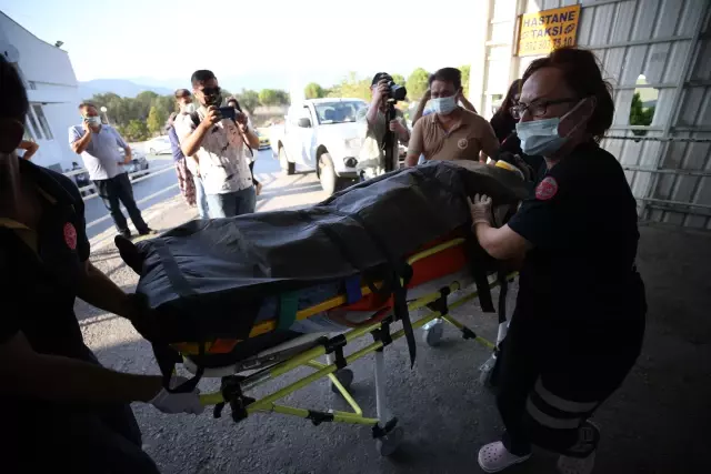 Çıkan orman yangınına havadan ve karadan müdahale ediliyor