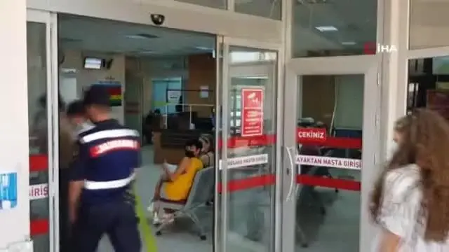 Kazdağları'nda yangın: Dumandan kaçan ayı yangını söndürmeye çalışan orman gönüllüsüne saldırdı