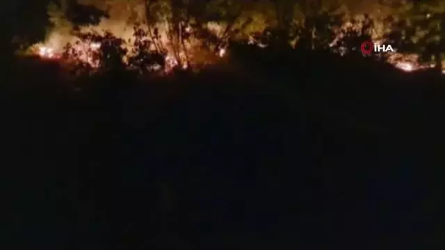 Son dakika haberi... Manavgat'taki orman yangını ile alakalı ortaya çıkan ses kaydı herkesi şoke etti