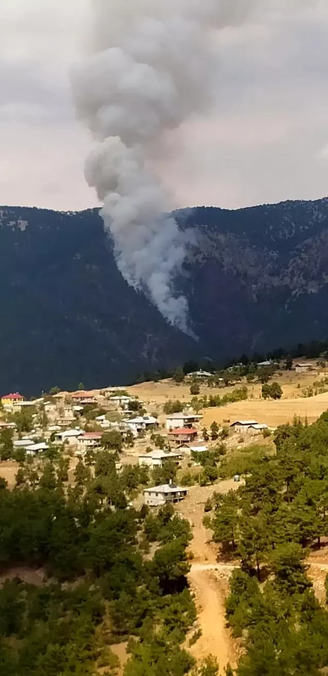 Çıkan orman yangınına havadan ve karadan müdahale ediliyor
