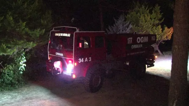 Kampçıların yaktığı ateş önce bunglow eve daha sonra ormanlık alana sıçradı