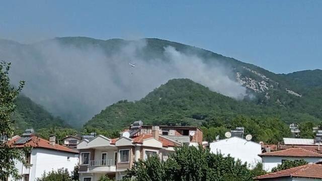 Son Dakika: Kazdağları'nda orman yangını! Edremit'teki yangına havadan ve karadan müdahale sürüyor