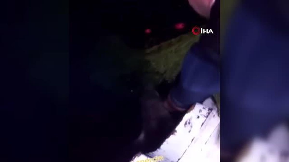 Trabzonlu balıkçının köpekbalığıyla gülümseten diyaloğu