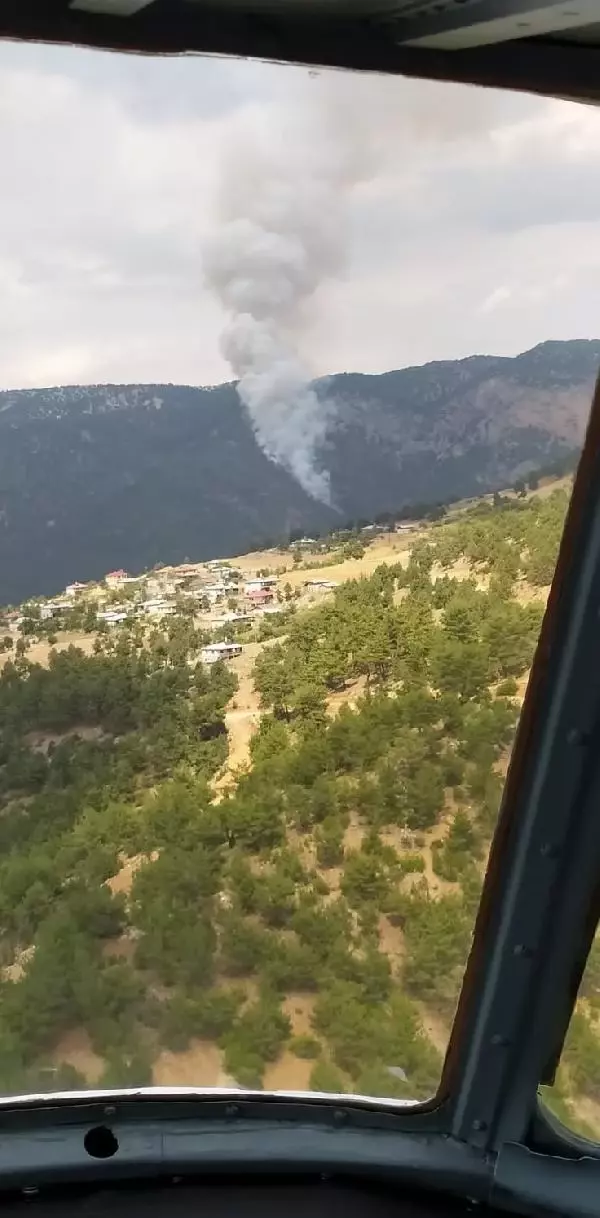 Adana'da dün çıkan orman yangını denetim altında