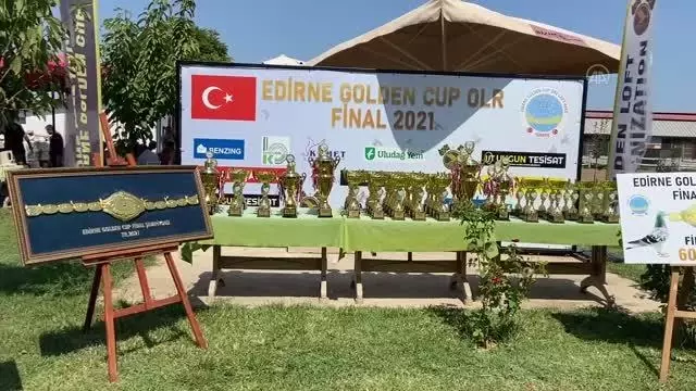 Golden Cup Ortak Kümes Final Yarışması düzenlendi