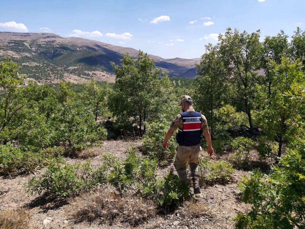 Son dakika! Jandarma'dan ormanlara drone ile kontrol