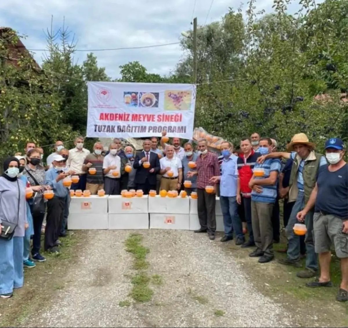 Samsun'da meyve üreticilerine Akdeniz meyve sineğine karşı destek