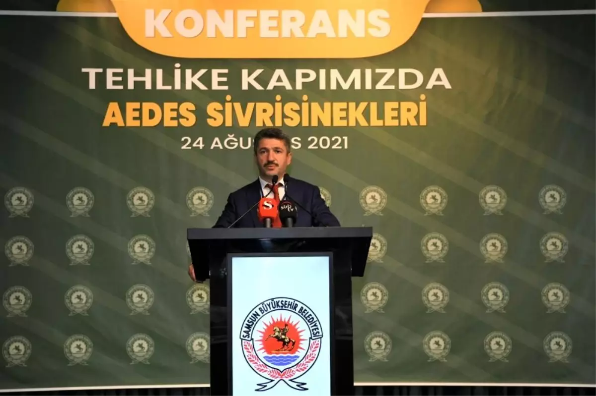 Sivrisinekler dünya için ciddi sorun