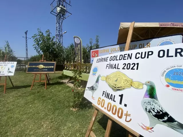 Golden Cup Ortak Kümes Final Yarışması düzenlendi