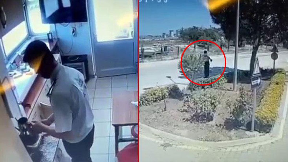 Güvenlik görevlisi ocakta ısıttığı suyu sokak köpeğinin üzerine böyle döktü