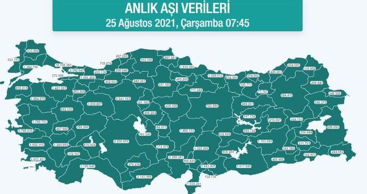 Hangi ilde ne kadar aşı yapıldı? İstanbul, Ankara, İzmir, Bursa, Adana, Samsun aşı sayıları ve aşı haritası! 25 Ağustos günlük aşı ve doz sayıları!