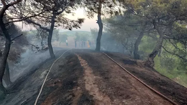 Kırıkhan'da çıkan orman yangını söndürüldü