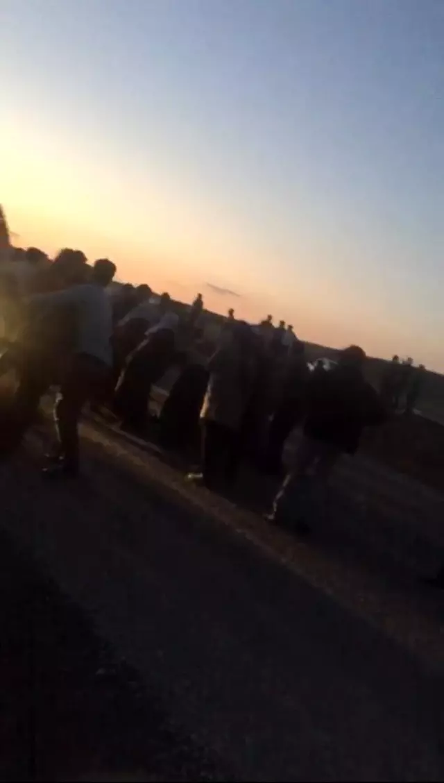 Hayvanları yolun karşısına geçirmek isteyen kız çocuğu tırın altında kalarak hayatını kaybetti