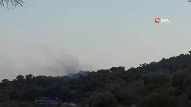 Kırıkhan'da çıkan orman yangını söndürüldü