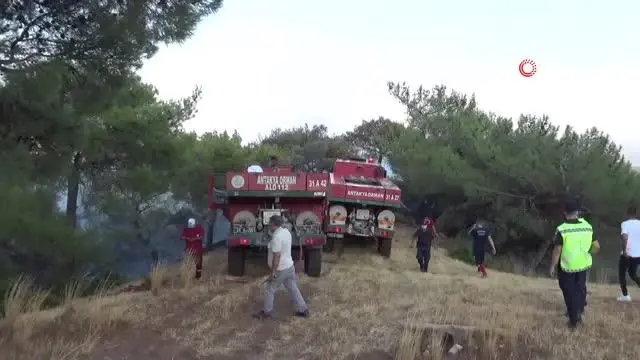 Kırıkhan'da çıkan orman yangını söndürüldü