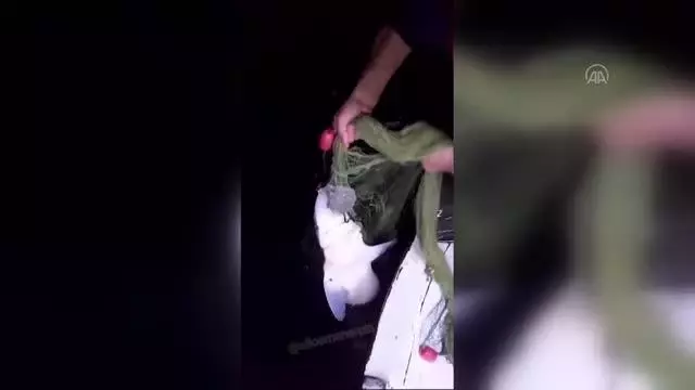 Trabzonlu balıkçının ağına takılan köpek balığına sözleri Karadeniz fıkralarını aratmadı